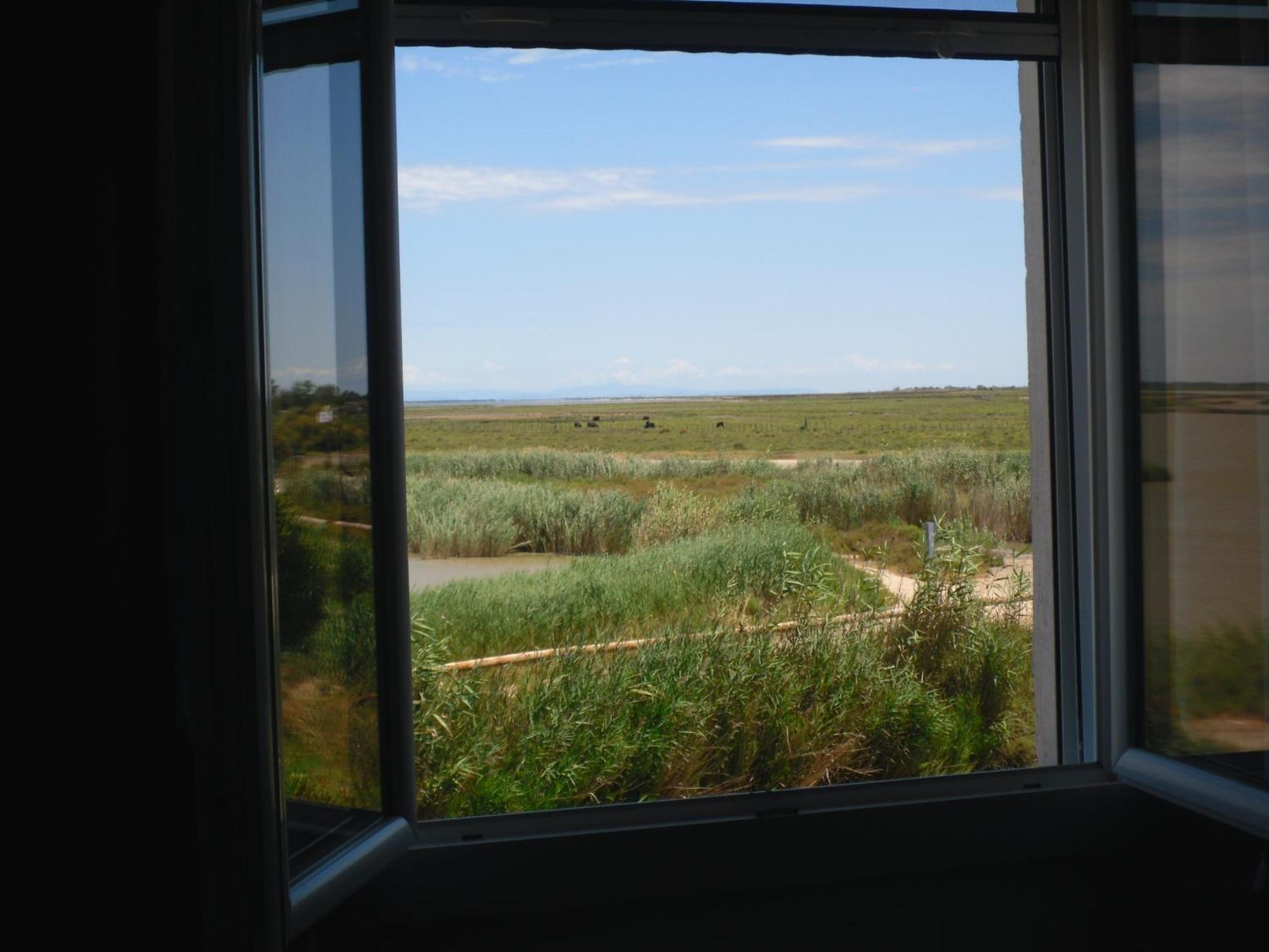 Chambre Les Flamants, Avec Vue Imprenable Sur Les Etangs, Les Oiseaux, La Nature, Petit Dejeuner Compris Saintes-Maries-de-la-Mer Dış mekan fotoğraf